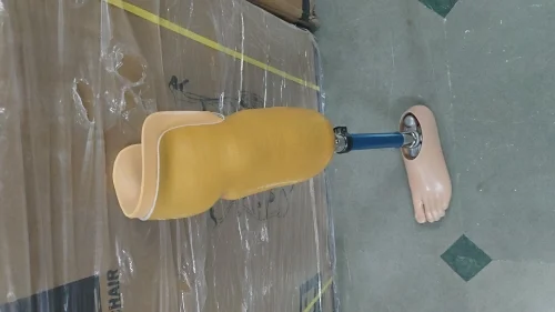 Custom Laminated Artificial Leg Socket