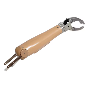 Prosthetic Arm with Two Degrees of Freedom