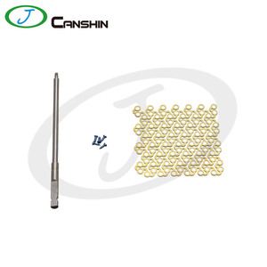 Pet orthopedic instruments, cranial frontal titanium mesh, animal skull