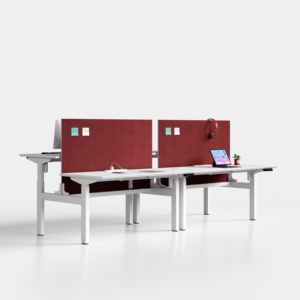 Luxury Ergonomic Electric Standing Desk Frame