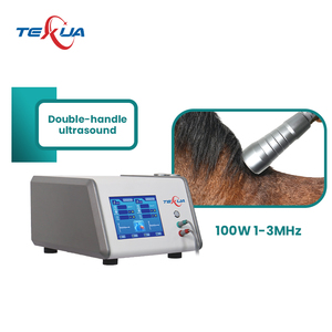 2 Handles Portable Ultrasound Physical Therapy Machine with CE Certification for Veterinary